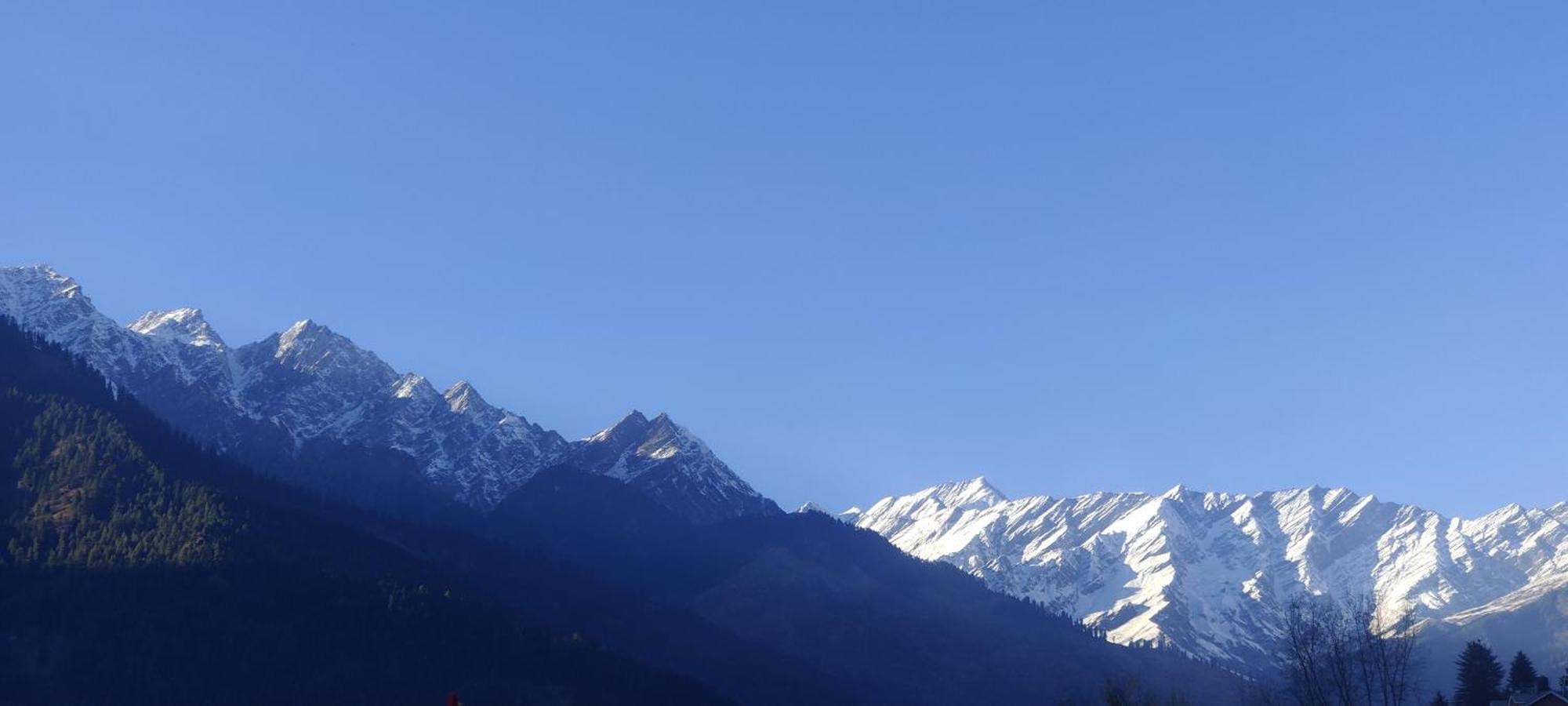 The Homstel Manali Hostel Exterior photo