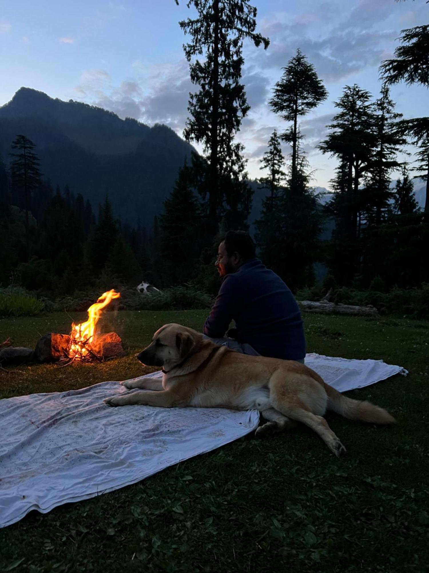 The Homstel Manali Hostel Exterior photo