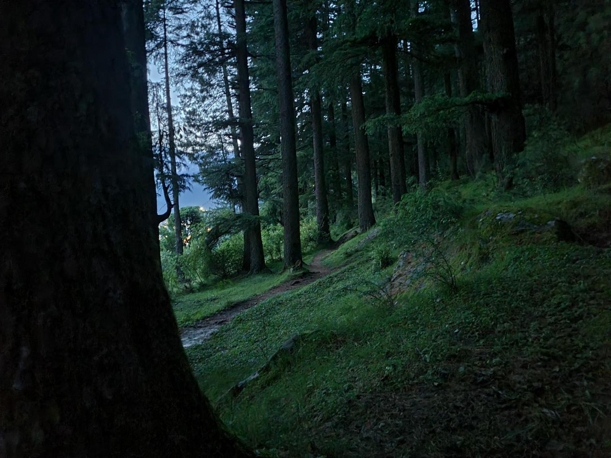 The Homstel Manali Hostel Exterior photo