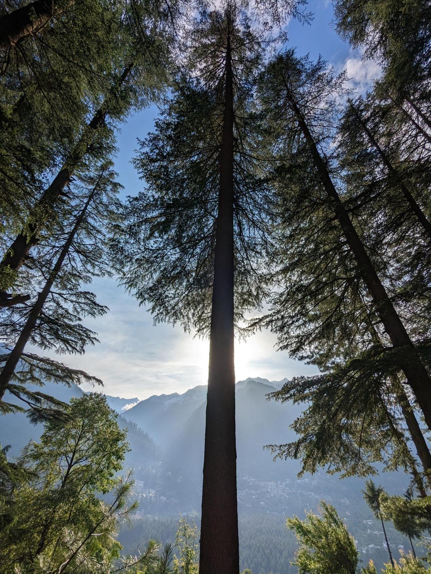 The Homstel Manali Hostel Exterior photo